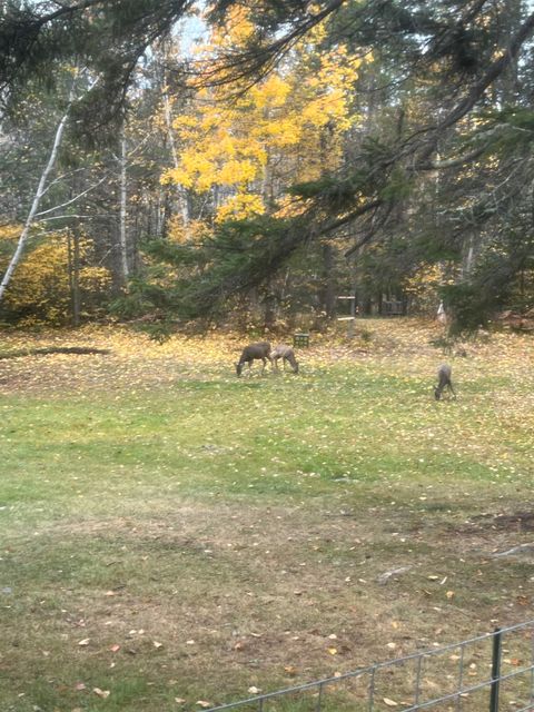 Tiny photo for 4381 Lilac Rd, Gilbert, MN 55741 (MLS # 6123448)