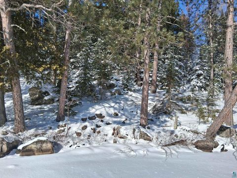 Tiny photo for xxxx N North Arm W, Cook, MN 55723 (MLS # 6123851)