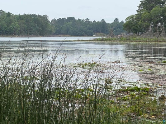 S LOON LAKE RD, SOLON SPRINGS, WI 54873 - Image 48270ca7bb59aeb7c3d555976ae5e21e/1429793789