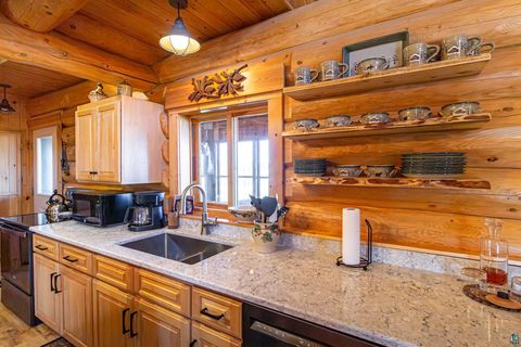 Tiny photo for 2307 N McDougal Ln, Isabella, MN 55731 (MLS # 6124201)