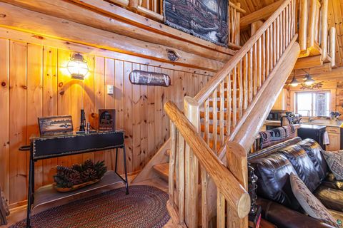 Tiny photo for 2307 N McDougal Ln, Isabella, MN 55731 (MLS # 6124201)