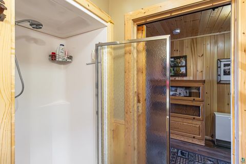 Tiny photo for 2307 N McDougal Ln, Isabella, MN 55731 (MLS # 6124201)