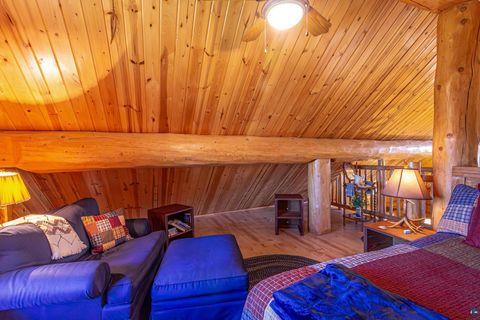 Tiny photo for 2307 N McDougal Ln, Isabella, MN 55731 (MLS # 6124201)