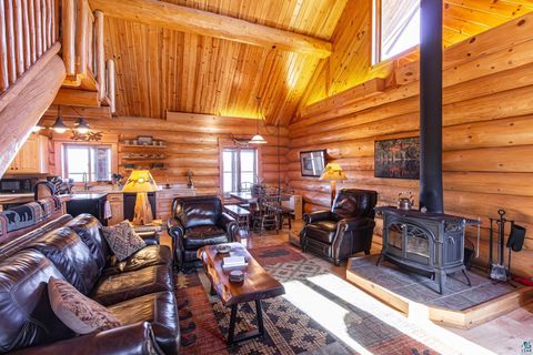 Tiny photo for 2307 N McDougal Ln, Isabella, MN 55731 (MLS # 6124201)