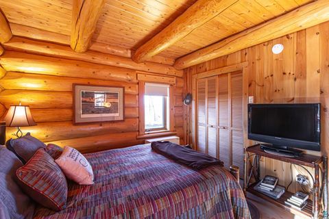 Tiny photo for 2307 N McDougal Ln, Isabella, MN 55731 (MLS # 6124201)