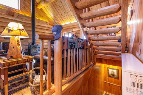 Tiny photo for 2307 N McDougal Ln, Isabella, MN 55731 (MLS # 6124201)