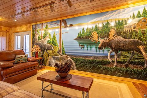 Tiny photo for 2307 N McDougal Ln, Isabella, MN 55731 (MLS # 6124201)