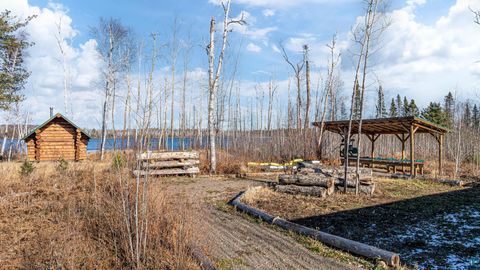 Tiny photo for 2307 N McDougal Ln, Isabella, MN 55731 (MLS # 6124201)