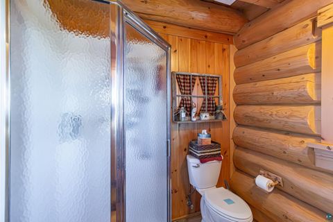 Tiny photo for 2307 N McDougal Ln, Isabella, MN 55731 (MLS # 6124201)