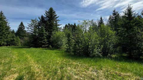 Tiny photo for TBD-B Hwy 169, Virginia, MN 55792 (MLS # 6125877)