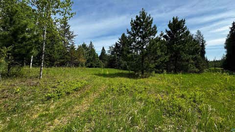 Tiny photo for TBD-B Hwy 169, Virginia, MN 55792 (MLS # 6125877)