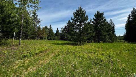 Tiny photo for TBD-B Hwy 169, Virginia, MN 55792 (MLS # 6125877)