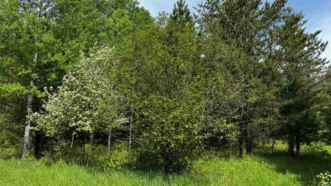 Tiny photo for TBD-B Hwy 169, Virginia, MN 55792 (MLS # 6125877)