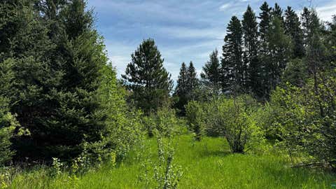 Tiny photo for TBD-B Hwy 169, Virginia, MN 55792 (MLS # 6125877)