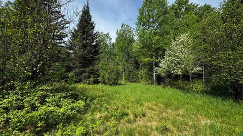 Tiny photo for TBD-B Hwy 169, Virginia, MN 55792 (MLS # 6125877)