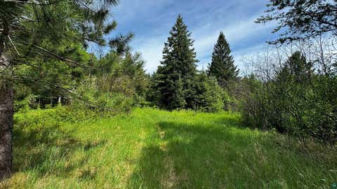 Tiny photo for TBD-B Hwy 169, Virginia, MN 55792 (MLS # 6125877)