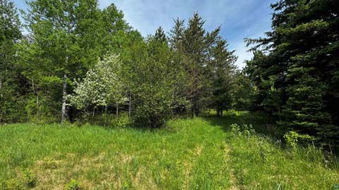 Tiny photo for TBD-B Hwy 169, Virginia, MN 55792 (MLS # 6125877)