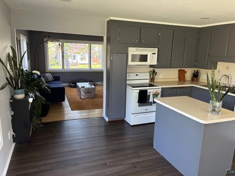Tiny photo for 334 W Redwing St, Duluth, MN 55803 (MLS # 6125608)
