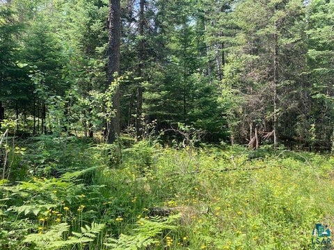 Tiny photo for 11919 Luna Lake Rd, Side Lake, MN 55781 (MLS # 6126523)