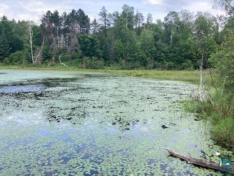 Tiny photo for 11919 Luna Lake Rd, Side Lake, MN 55781 (MLS # 6126523)