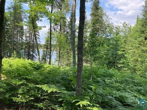 Tiny photo for 11919 Luna Lake Rd, Side Lake, MN 55781 (MLS # 6126523)