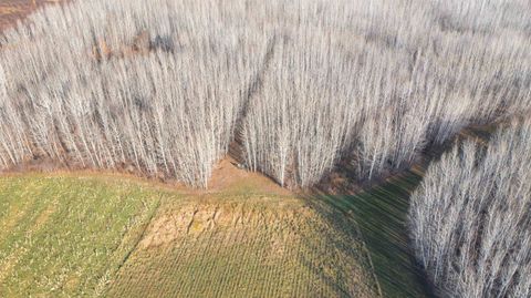 Tiny photo for 11680 County Rd 59, Gheen, MN 55771 (MLS # 6122673)