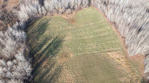 Tiny photo for 11680 County Rd 59, Gheen, MN 55771 (MLS # 6122673)