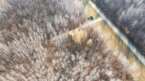 Tiny photo for 11680 County Rd 59, Gheen, MN 55771 (MLS # 6122673)