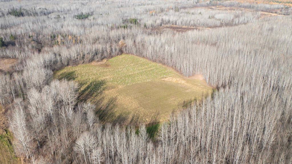 Photo for 11680 County Rd 59, Gheen, MN 55771 (MLS # 6122673)