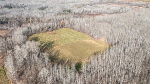 Photo of 11680 County Rd 59, Gheen, MN 55771 (MLS # 6122673) Photo of 11680 County Rd 59, Gheen, MN 55771 (MLS # 6122673)