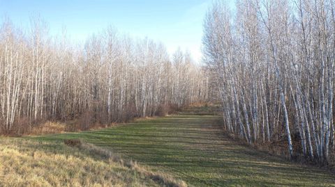 Tiny photo for 11680 County Rd 59, Gheen, MN 55771 (MLS # 6122673)