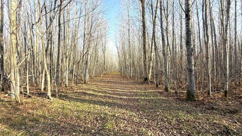 Tiny photo for 11680 County Rd 59, Gheen, MN 55771 (MLS # 6122673)