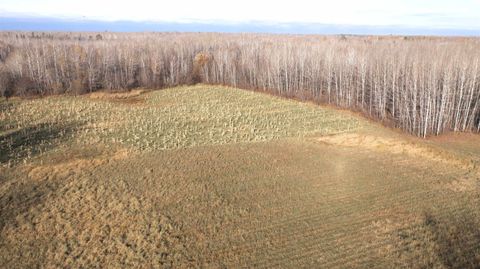 Tiny photo for 11680 County Rd 59, Gheen, MN 55771 (MLS # 6122673)