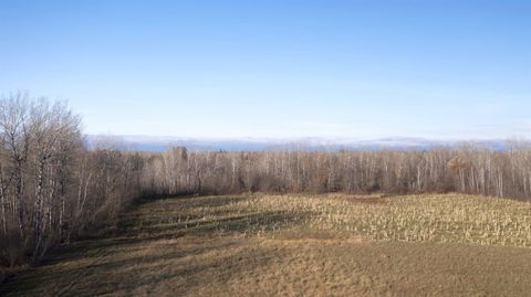 Tiny photo for 11680 County Rd 59, Gheen, MN 55771 (MLS # 6122673)