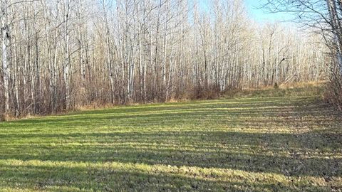 Tiny photo for 11680 County Rd 59, Gheen, MN 55771 (MLS # 6122673)