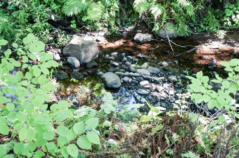 Tiny photo for 12 Olea Ave, Duluth, MN 55810 (MLS # 6127785)