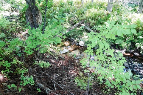 Tiny photo for 12 Olea Ave, Duluth, MN 55810 (MLS # 6127785)