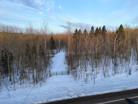 Tiny photo for 6269 Hwy 1, Finland, MN 55603 (MLS # 6127806)