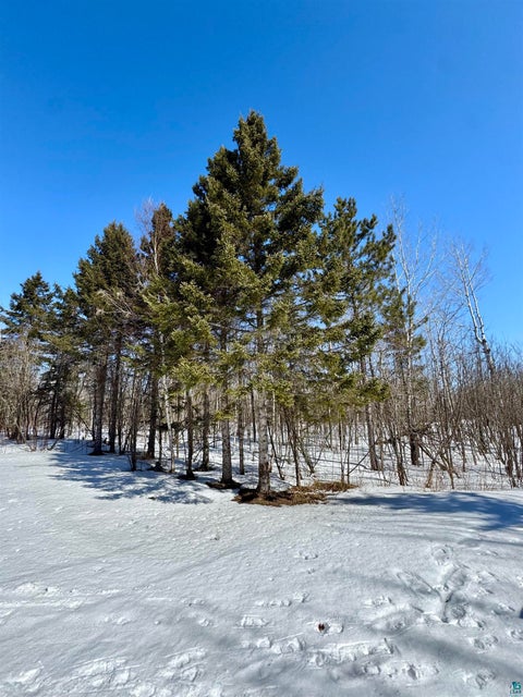 Tiny photo for 6269 Hwy 1, Finland, MN 55603 (MLS # 6127806)