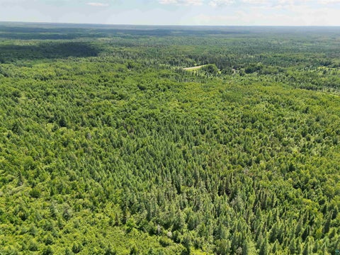 Tiny photo for xxx Town Line Rd, Toimi, MN 55602 (MLS # 6127162)
