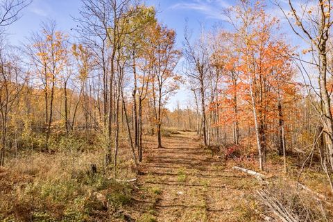 Tiny photo for xxx Katherine Ln, Duluth, MN 55803 (MLS # 6123653)