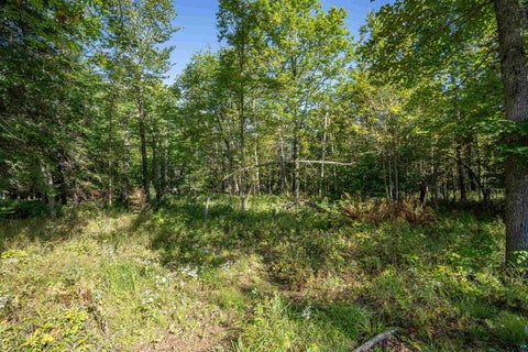 Tiny photo for 4971 Nelsondale Rd, Duluth, MN 55811 (MLS # 6128022)