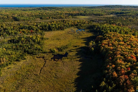 Tiny photo for xxxx Hegberg Rd, Duluth, MN 55804 (MLS # 6128150)