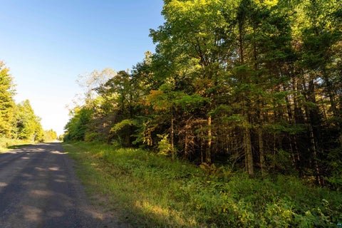 Tiny photo for xxxx Hegberg Rd, Duluth, MN 55804 (MLS # 6128150)