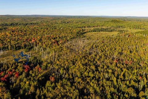 Tiny photo for xxxx Hegberg Rd, Duluth, MN 55804 (MLS # 6128150)
