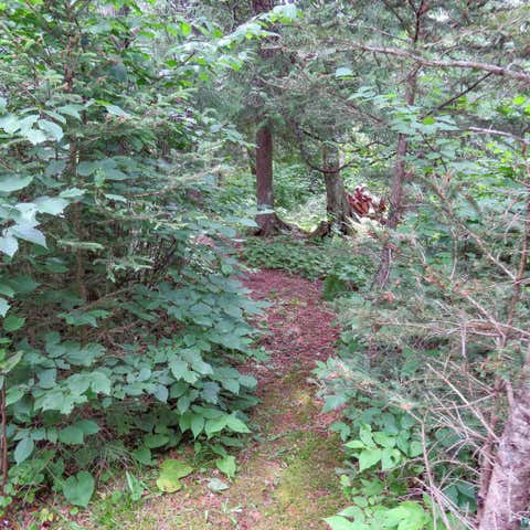 Tiny photo for 180 Caribou Tr, Lutsen, MN 55612 (MLS # 6127362)