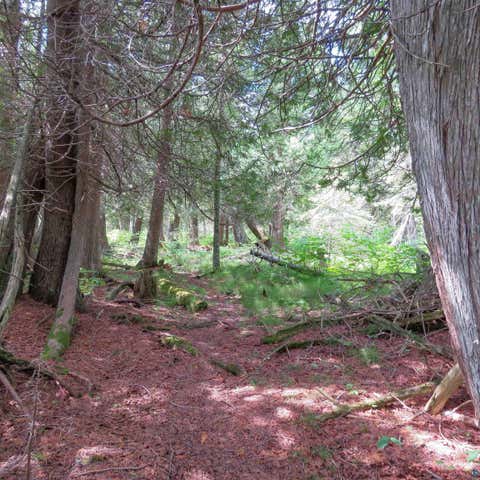 Tiny photo for 180 Caribou Tr, Lutsen, MN 55612 (MLS # 6127362)