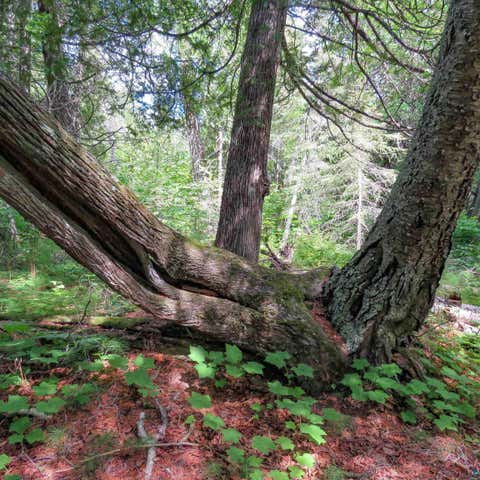 Tiny photo for 180 Caribou Tr, Lutsen, MN 55612 (MLS # 6127362)