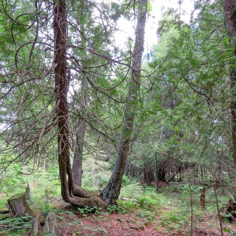 Tiny photo for 180 Caribou Tr, Lutsen, MN 55612 (MLS # 6127362)