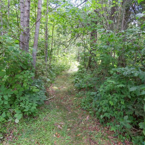 Tiny photo for 180 Caribou Tr, Lutsen, MN 55612 (MLS # 6127362)